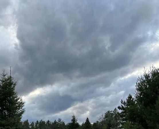 Plum Pines RV Park & Campground