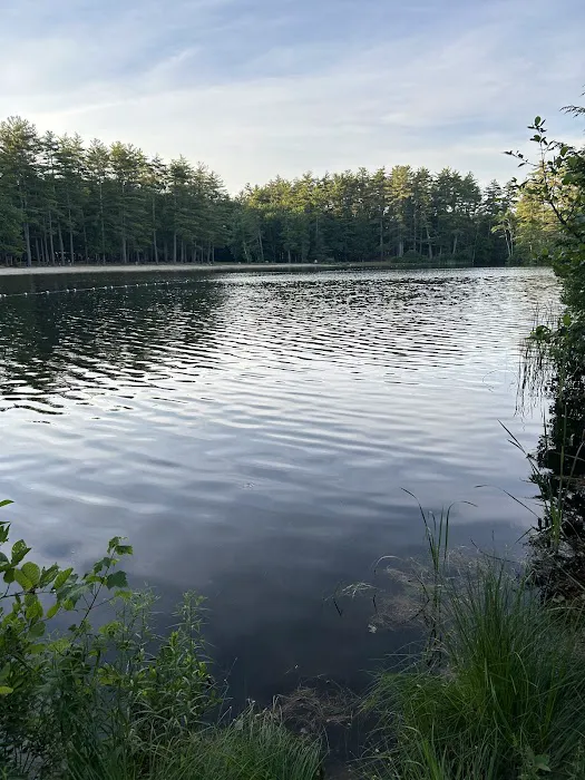 Puckaway Sands Resort 3