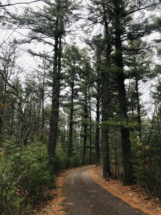 Camp Wawbeek - Easter Seals Wisconsin Camps 5