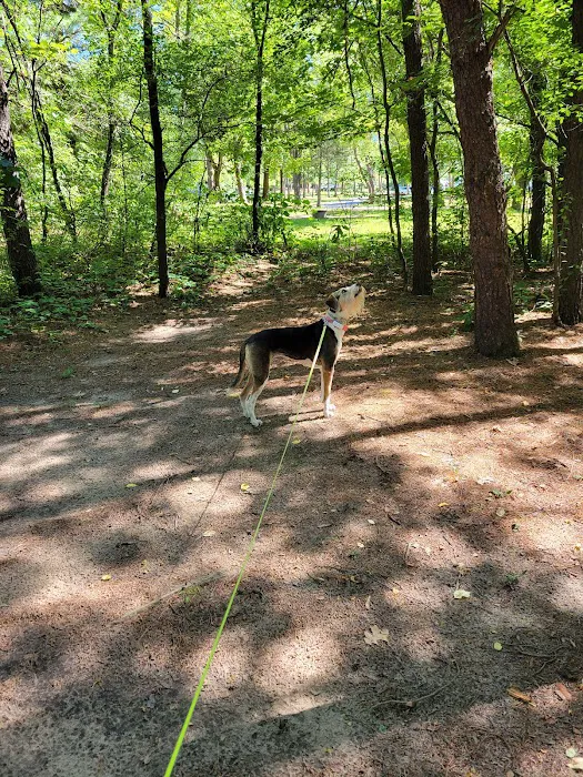 Sherwood Forest Camping & RV Park 0