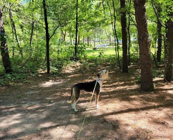 Sherwood Forest Camping & RV Park