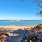 Illinois Beach State Park Campground