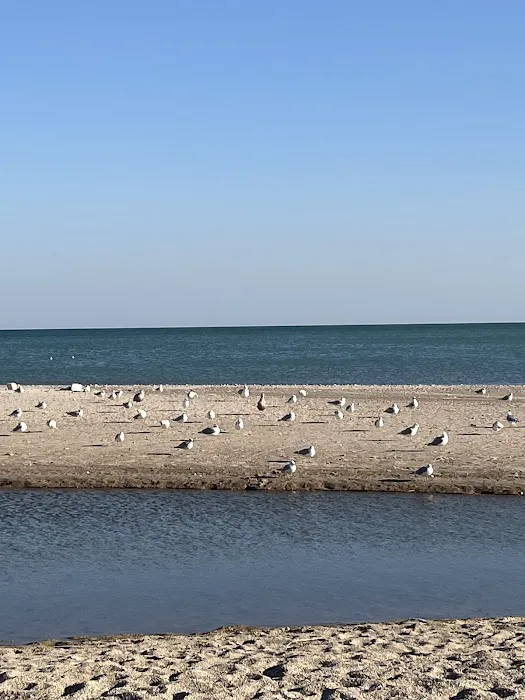 Illinois Beach State Park Campground 3