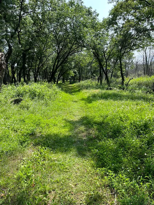 Illinois Beach State Park Campground 8