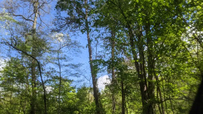 Hocking Hills Walk-in Camp Sites 6