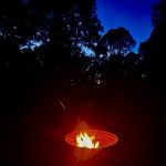 Chandler's Enchanted Acres