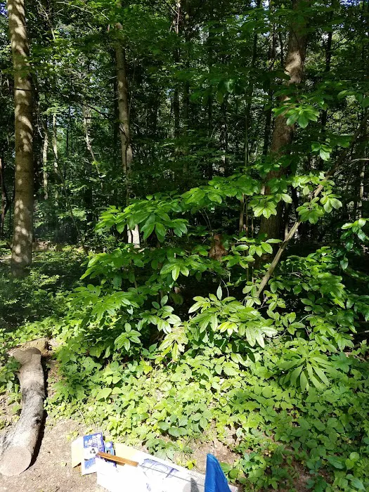 Hocking Hills Group Camping 6