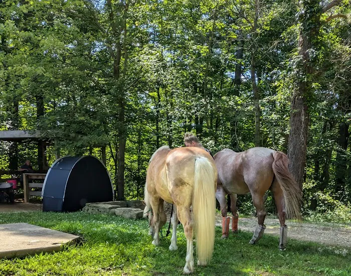 Palmerosa Horse & Hike Campground 4