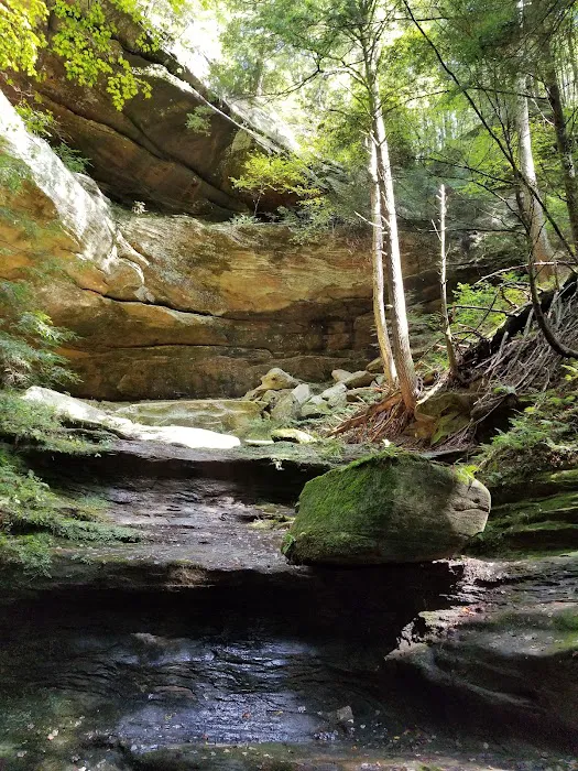 Palmerosa Horse & Hike Campground 6