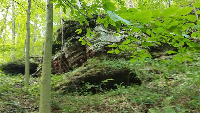 Nature's Way 4