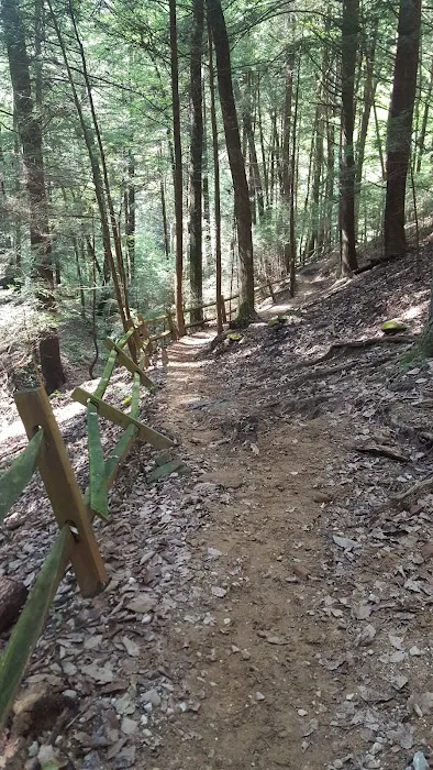 Nature's Way 5