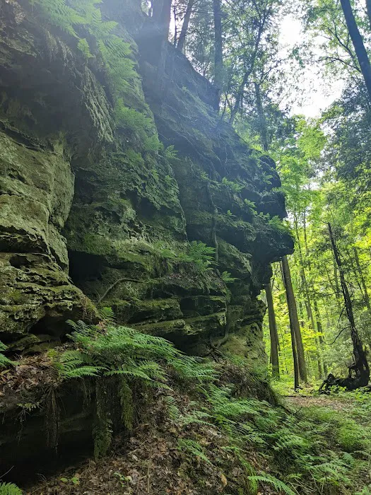 Nature's Way 9