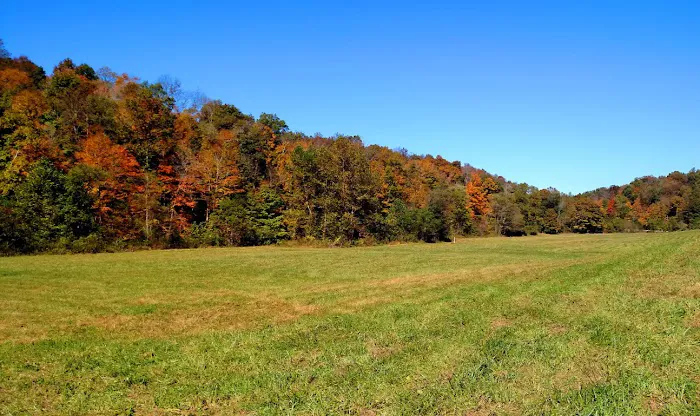 Altenbrauch Farm 7