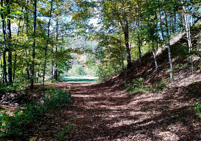 Altenbrauch Farm 8
