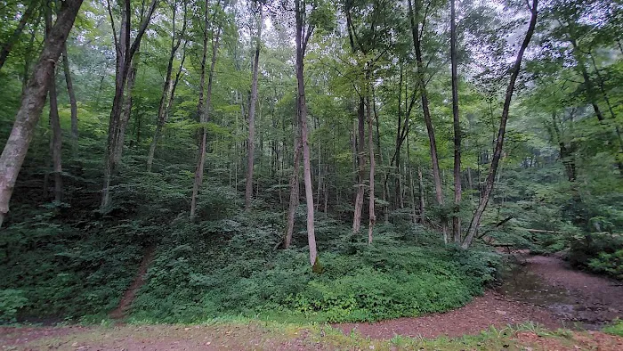 Tar Hollow State Park Logan Hollow Campground 5