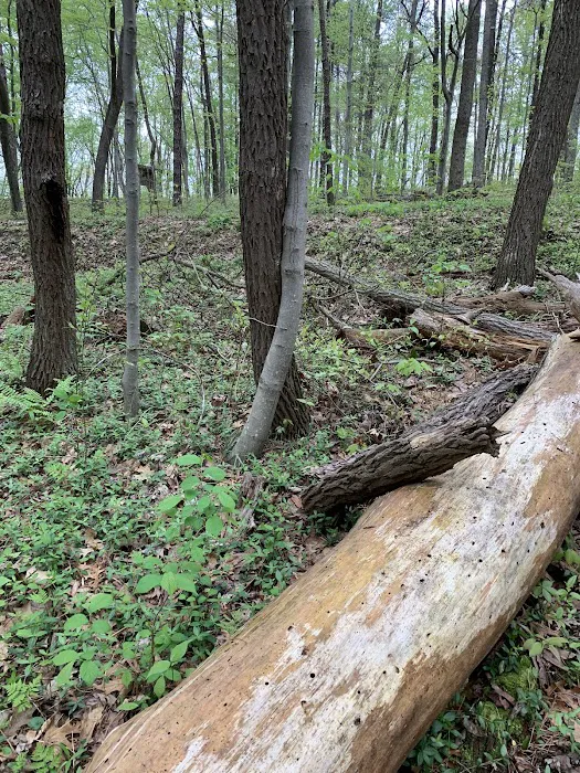 Tar Hollow North Ridge Campground 9