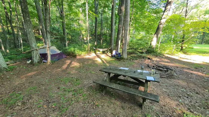 Dullen Loop Campsite 0