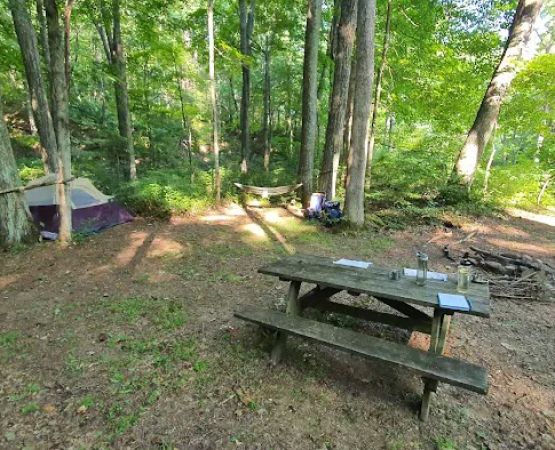 Dullen Loop Campsite