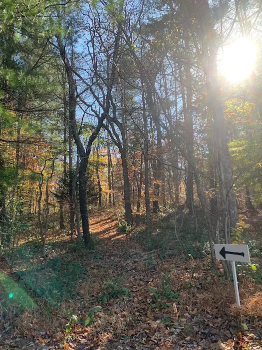 Dry Creek Pines 3