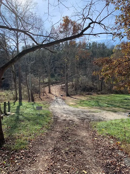 Dry Creek Pines 6