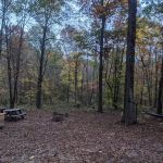 Benton's on the Baileys