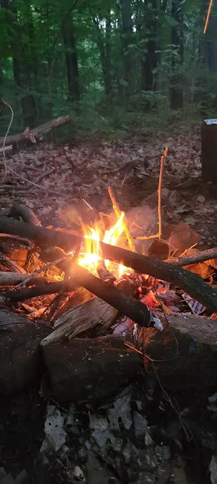 Zeleski State Forest Camp 3 - Secluded Camp Site 0