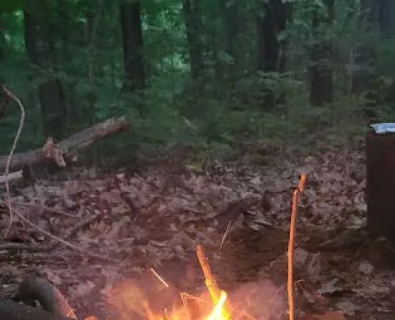 Zeleski State Forest Camp 3 - Secluded Camp Site