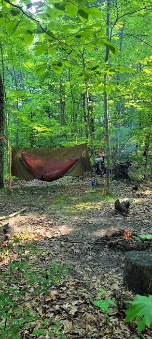 Zeleski State Forest Camp 3 - Secluded Camp Site 1