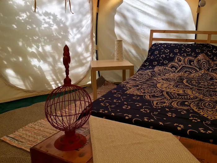 The Eco Camp 2
