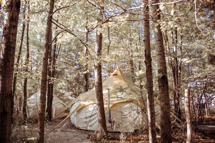 The Eco Camp 8