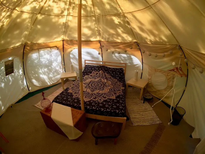 The Eco Camp 1