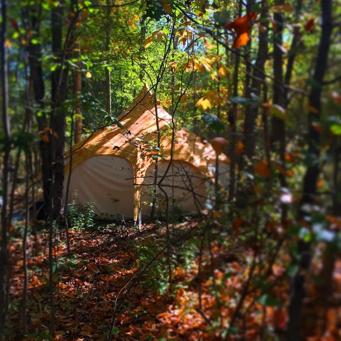 The Eco Camp 6