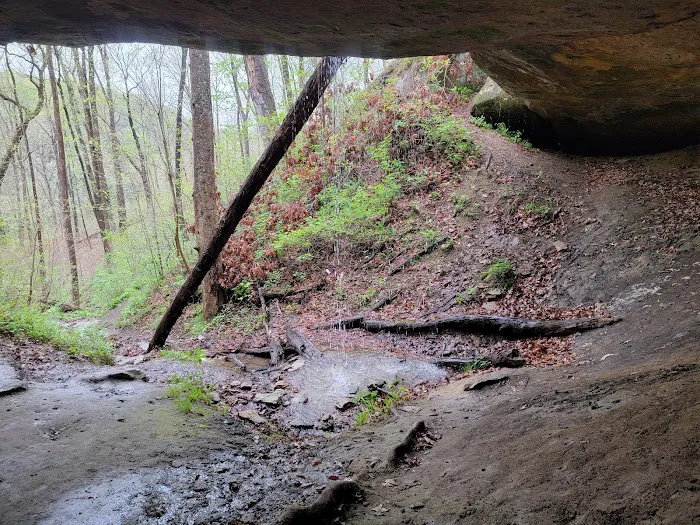 Lake Hope State Park Campground 7