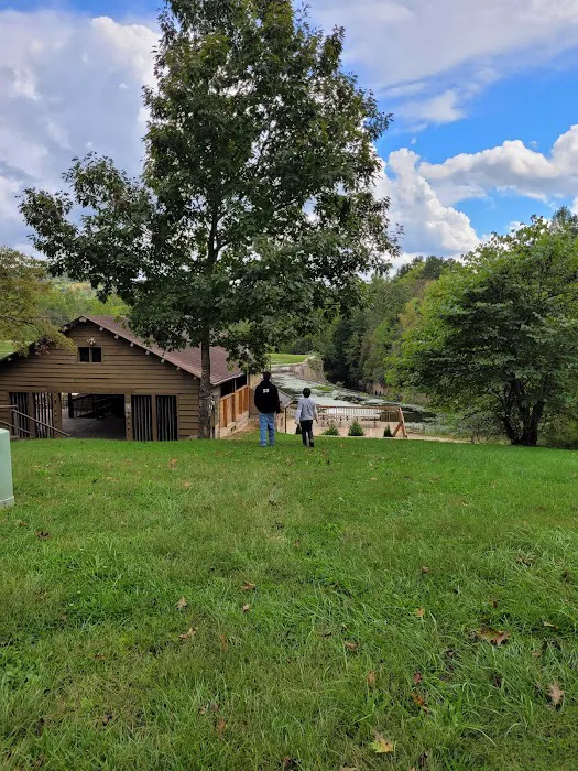 Lake Hope State Park Campground 6
