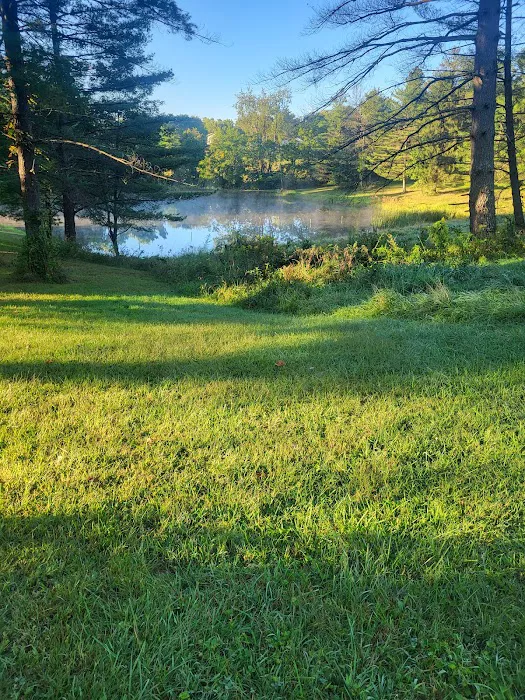Under the Stars Campground 2
