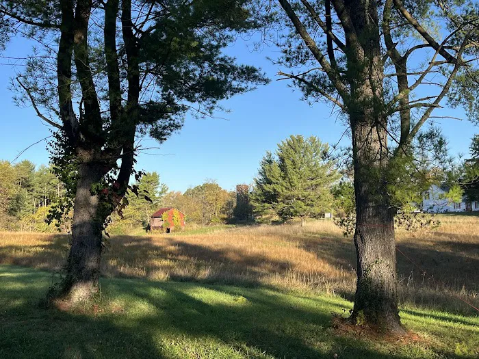 Under the Stars Campground 3