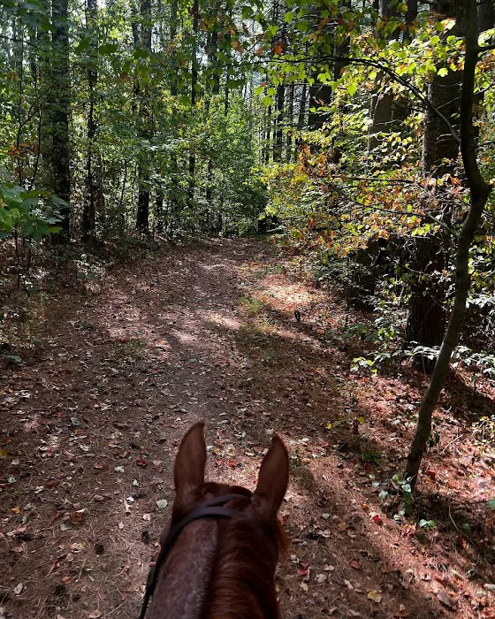 Zaleski State Forest Horse Camp 0