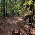 Zaleski State Forest Horse Camp