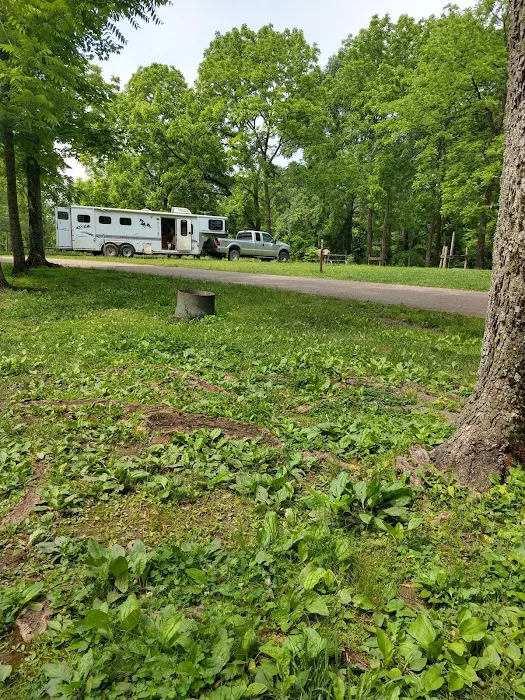 Zaleski State Forest Horse Camp 8