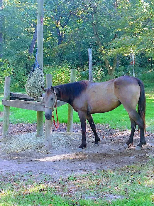 Zaleski State Forest Horse Camp 3