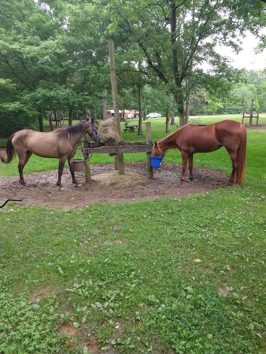 Zaleski State Forest Horse Camp 6