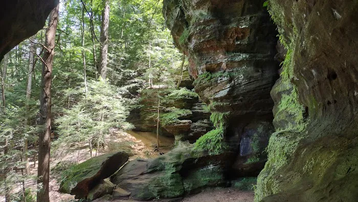 Camp Shroom Hocking Hills 7
