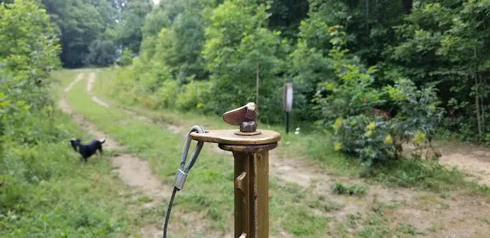 Camp Shroom Hocking Hills 1