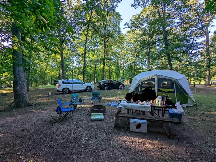 A.W. Marion State Park Campground 5