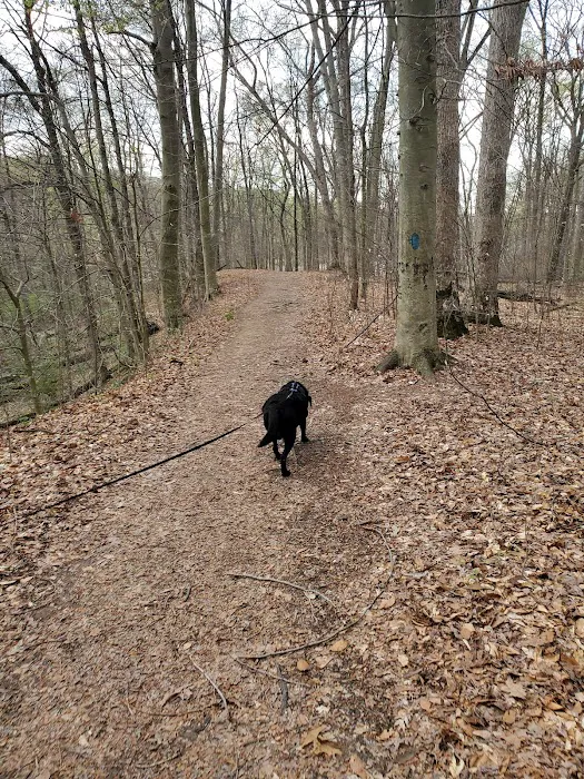 A.W. Marion State Park Campground 2