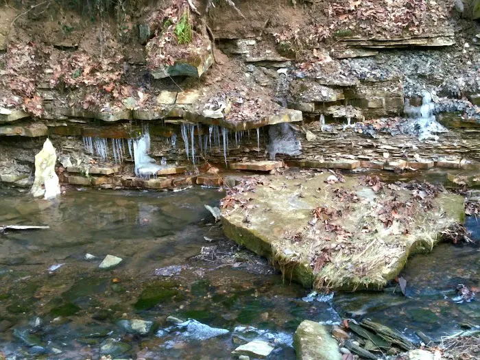 A.W. Marion State Park Campground 9