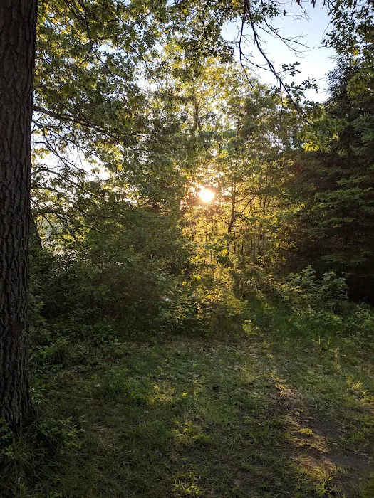 Buckhorn Campground 1