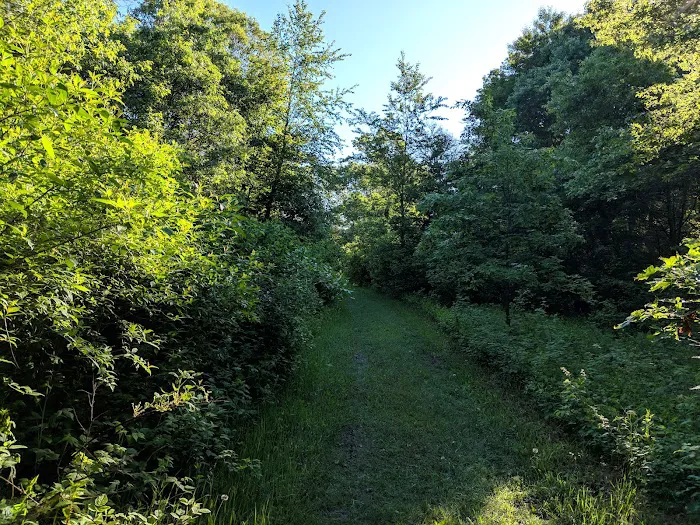 Buckhorn Campground 3