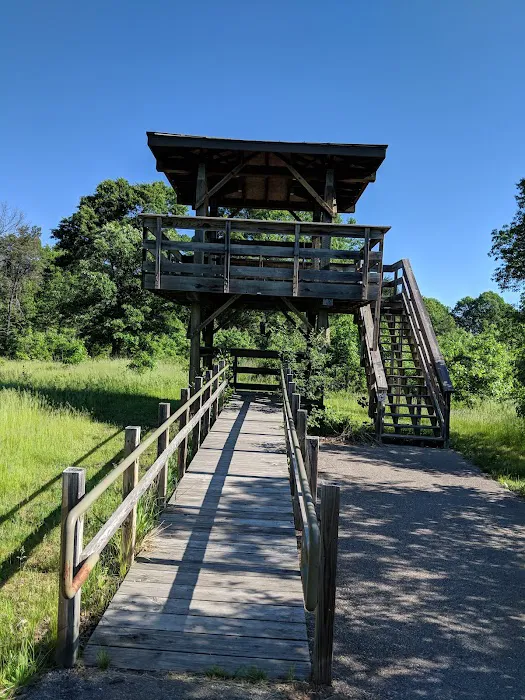 Buckhorn Campground 5