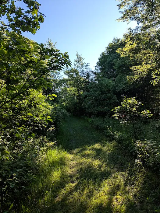 Buckhorn Campground 9
